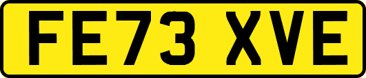 FE73XVE