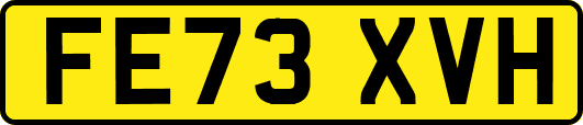 FE73XVH