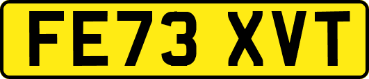 FE73XVT
