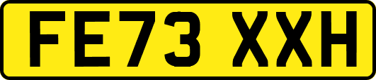FE73XXH