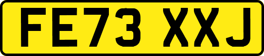 FE73XXJ