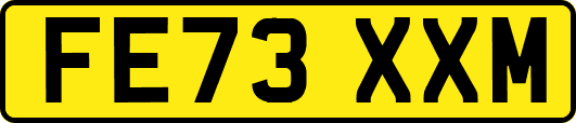 FE73XXM