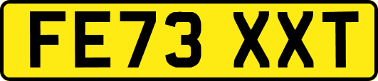 FE73XXT
