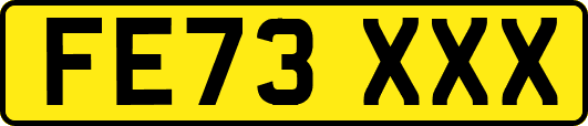 FE73XXX