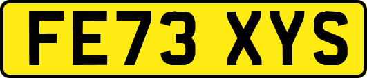 FE73XYS