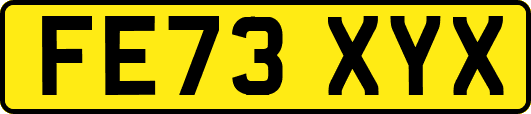 FE73XYX