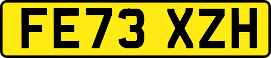 FE73XZH