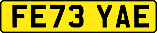 FE73YAE