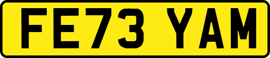 FE73YAM