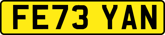 FE73YAN