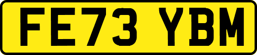 FE73YBM