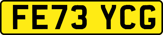FE73YCG