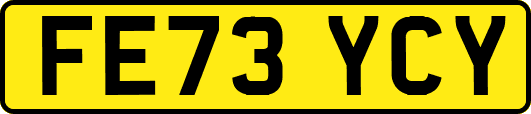 FE73YCY