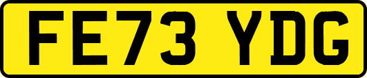 FE73YDG