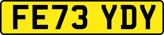 FE73YDY