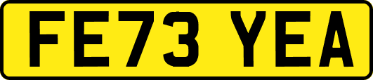 FE73YEA