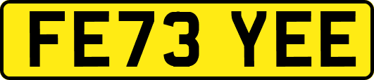 FE73YEE