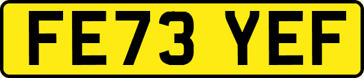 FE73YEF