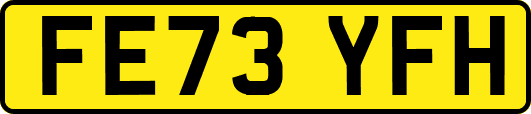 FE73YFH