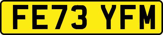 FE73YFM