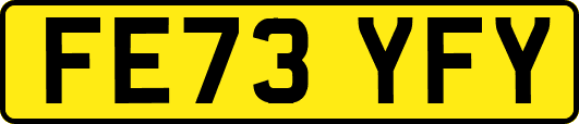 FE73YFY