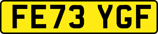 FE73YGF