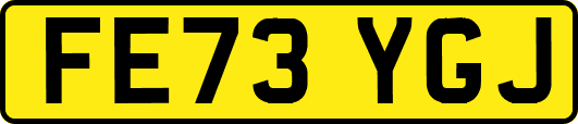 FE73YGJ