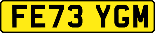 FE73YGM