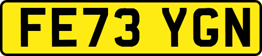 FE73YGN