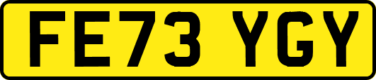 FE73YGY
