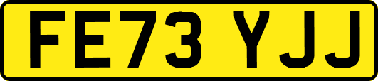 FE73YJJ