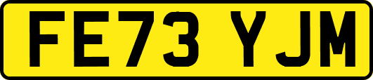 FE73YJM
