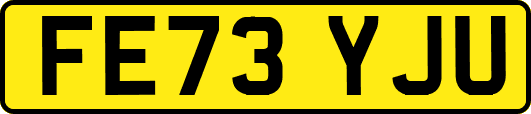 FE73YJU