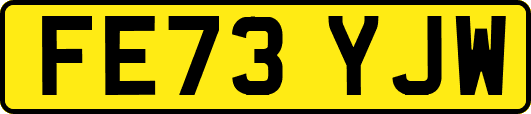 FE73YJW