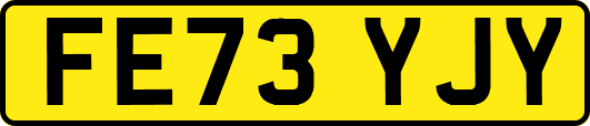 FE73YJY