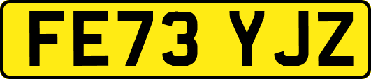 FE73YJZ