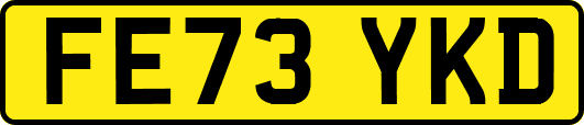 FE73YKD