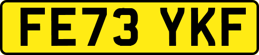 FE73YKF