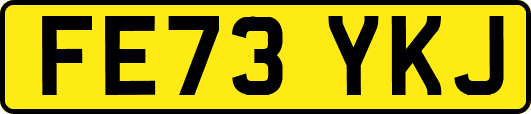 FE73YKJ