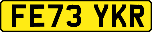 FE73YKR