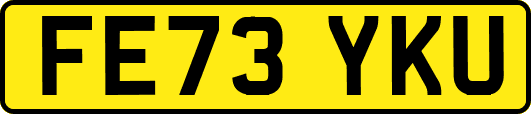 FE73YKU