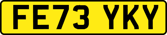 FE73YKY