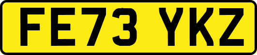 FE73YKZ