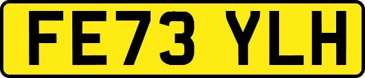 FE73YLH
