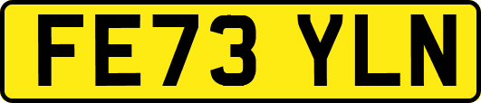 FE73YLN