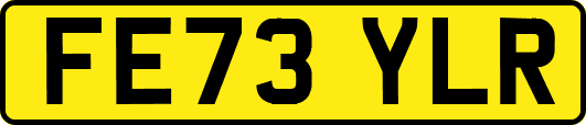 FE73YLR