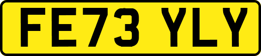 FE73YLY