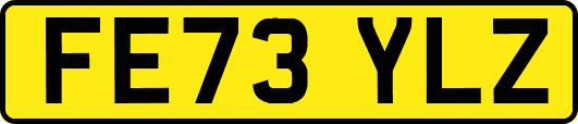 FE73YLZ
