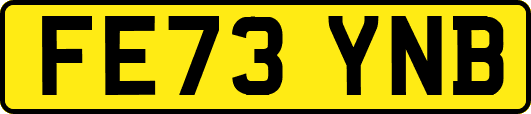 FE73YNB