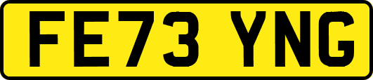 FE73YNG